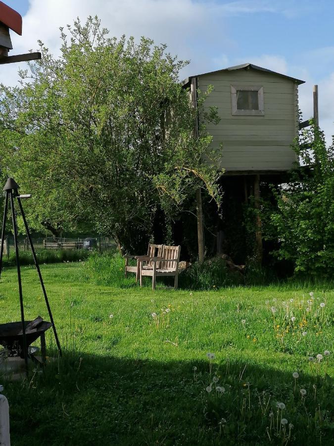 Lierde B&B Lekker Buiten מראה חיצוני תמונה